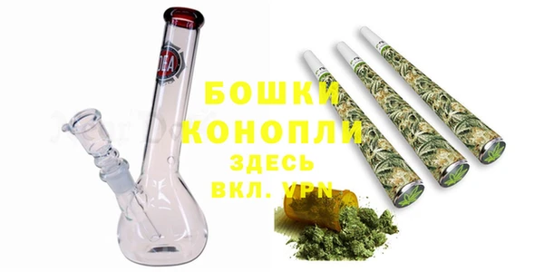 прущий лед Богданович