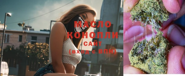 прущий лед Богданович